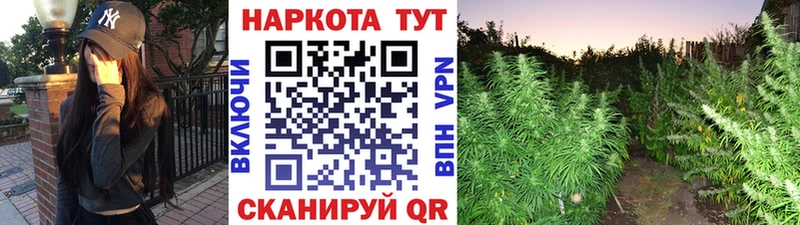 Где купить наркоту Советск APVP  Канабис  Кокаин 
